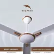Dolphin Ceiling Fan Gold - Ukubwa 36" & 56" - 1