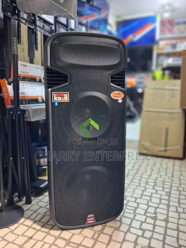 Temeisheng Double Rechargeable Professional Speaker 3500W with 2 Microphones - 1