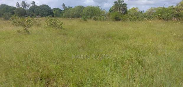 Farmland for Sale - 1 Acre, 80km from DSM - 1