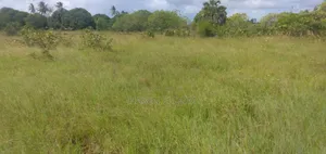 Farmland for Sale - 1 Acre, 80km from DSM