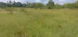 Farmland for Sale - 1 Acre, 80km from DSM - 1