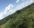 Farmland for Sale - 1 Acre, 80km from DSM - 2