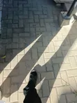Nyumba ya Vyumba 4 vya Kulala, Masaki, kwa Ajili ya Kukodisha - 3