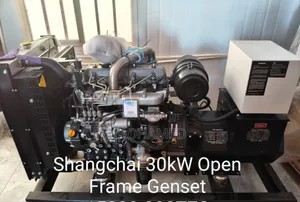 Jenereta ya Dizeli ya Shangchai 30kW