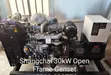 Jenereta ya Dizeli ya Shangchai 30kW - 1