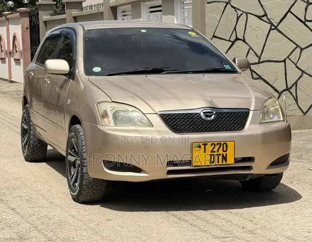 Toyota Corolla RunX 2006 Gold - 1