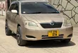 Toyota Corolla RunX 2006 Gold - 3