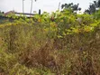 Kiwanja cha Makazi Kinauzwa - Goba - 2