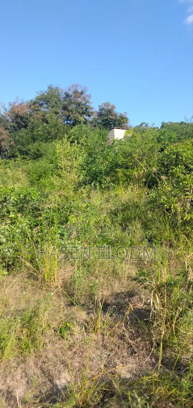 Shamba Limepimwa Linaouzwa - Eka 100, Km 60 Kutoka DSM - 1