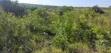 Shamba Limepimwa Linaouzwa - Eka 100, Km 60 Kutoka DSM - 2