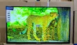 Globalstar 32" Smart Frameless TV - 2
