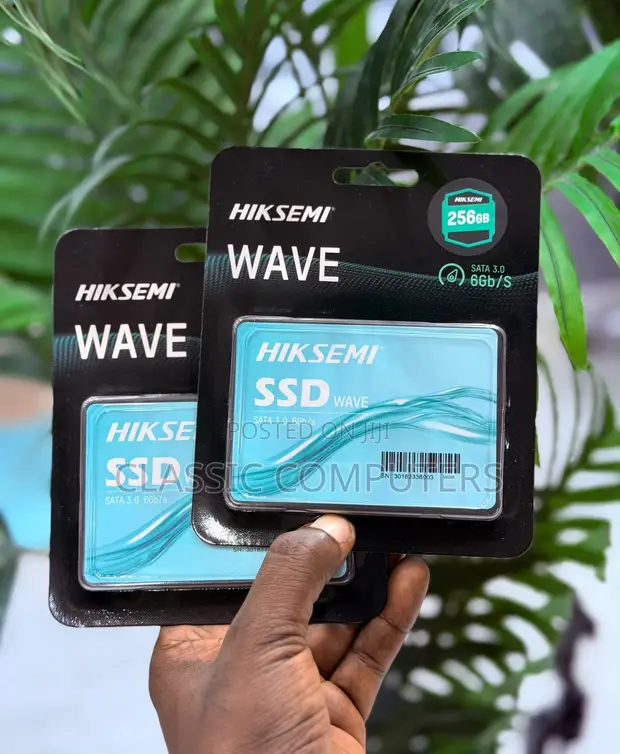 Brand New HIKSEMI Wave 256GB SSD - 1