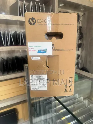 HP E24 G4 23.8" FHD Monitor