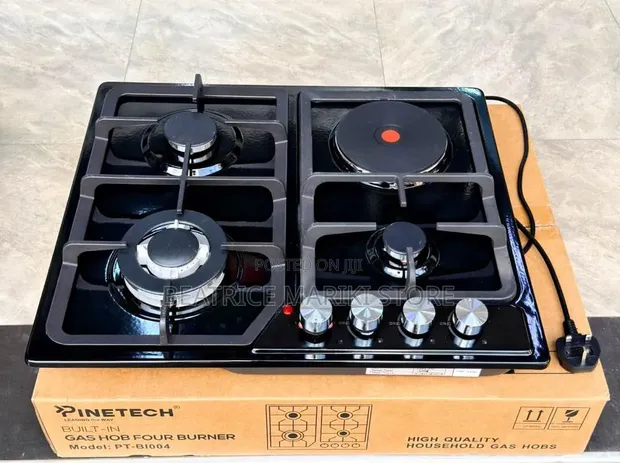 Pinetech Electric and Gas Stove - 1