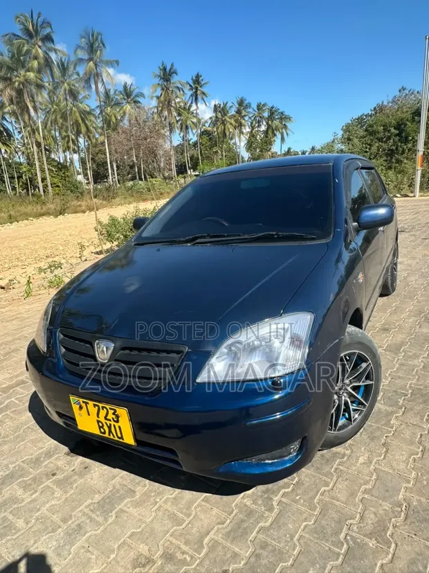 Toyota Allex 2003 Blue - 1