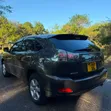 Toyota Harrier 2009 Gray - 1