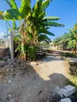Kiwanja Kinauzwa Kwamwingira, Mjimwema, Kigamboni - 4