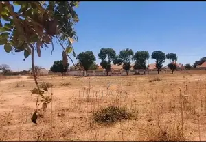 Land for Sale in Dodoma Msalato (First Paved Road)