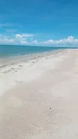 Kiwanja cha Pwani Karibu na Hifadhi ya Saadani, Mkwaja - 2