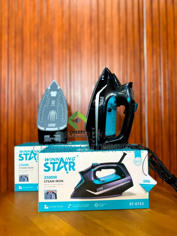 Winning Star Steam Iron 2500W - 1