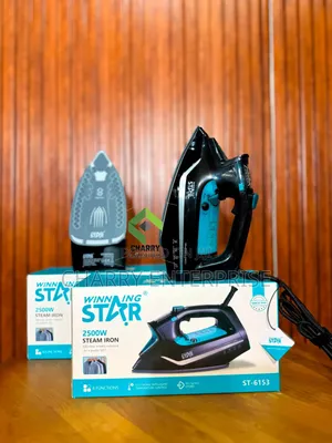 Winning Star Steam Iron 2500W