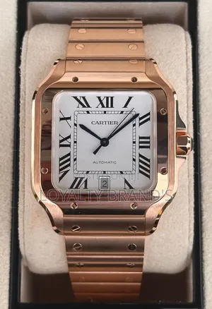 Cartier Santos Mechanical Watch
