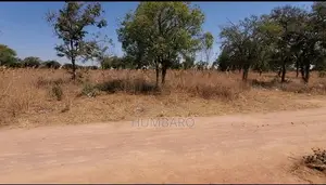 Prime Plot First Tarmac, Msalato Magereza