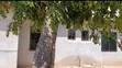3 Bedroom House for Sale in Bahi, Msalato - 4
