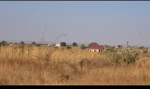 Three Plots for Sale (Msalato), 1500sqm Total