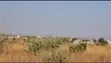 Three Plots for Sale (Msalato), 1500sqm Total - 3