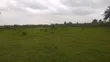 Eneo la Viwanda kwa Mauzo, Kisarawe II Kigamboni - 2