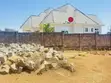 1,100 SQM Fenced Plot for Sale in Ibanda, Kirumba - 4