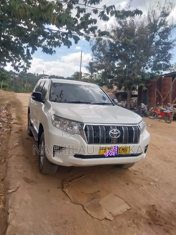 Toyota Land Cruiser Prado 2010 White - 1