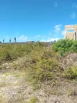 Eneo la Pwani la Eka 2 Linauzwa, Jambiani Zanzibar - 3