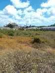 Eneo la Pwani la Eka 2 Linauzwa, Jambiani Zanzibar - 4