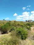 Eneo la Pwani la Eka 2 Linauzwa, Jambiani Zanzibar - 5