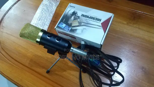 Brand New W-King Condenser Microphone - 1