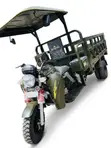 New 200cc Green Tricycle - 6-Speed Manual - 3
