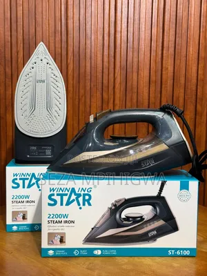 Winning Star Steam Iron ST-6100