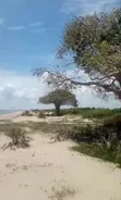 78 Acres Beach Plot for Sale, Bagamoyo Kitame - 3