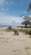 78 Acres Beach Plot for Sale, Bagamoyo Kitame - 4