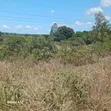 Industrial Plot for Sale, Mkuranga (8 Acres) - 2