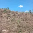 Industrial Plot for Sale, Mkuranga (8 Acres) - 4