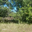 Two Plots for Sale in Mkuranga, Pwani - 2