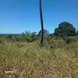 Two Plots for Sale in Mkuranga, Pwani - 3
