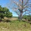 Two Plots for Sale in Mkuranga, Pwani - 4
