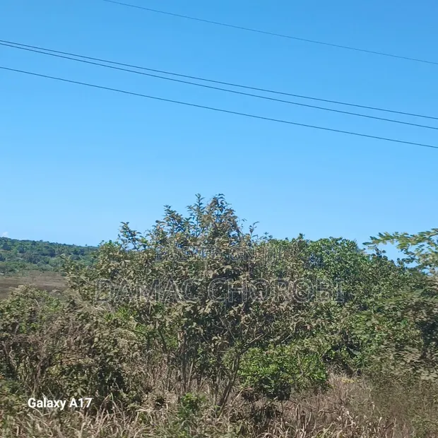 Industrial Plot for Sale - Mkuranga (110 Acres) - 1