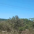 Eneo la Viwanda kwa Mauzo - Mkuranga (Eka 110) - 1