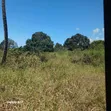 Eneo la Viwanda kwa Mauzo - Mkuranga (Eka 110) - 5