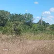 Prime Land for Sale in Kibiti, Pwani - Road Access - 2
